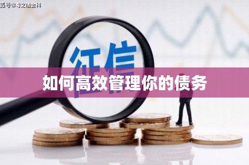 小港如何高效管理你的债务