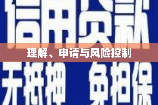 小港理解、申请与风险控制