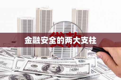 小港金融安全的两大支柱