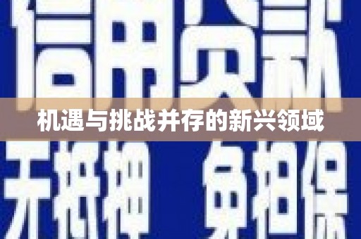 小港机遇与挑战并存的新兴领域