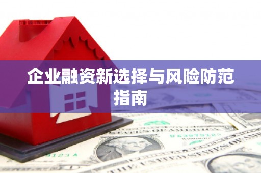 小港企业融资新选择与风险防范指南