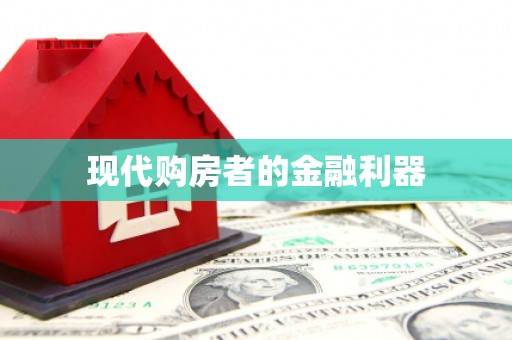 小港现代购房者的金融利器