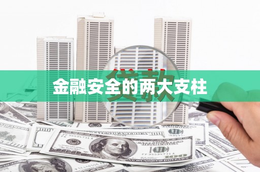 小港金融安全的两大支柱