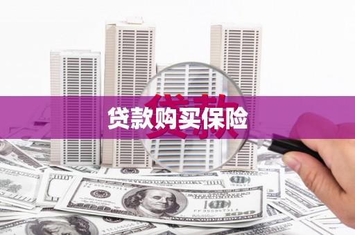 小港贷款购买保险