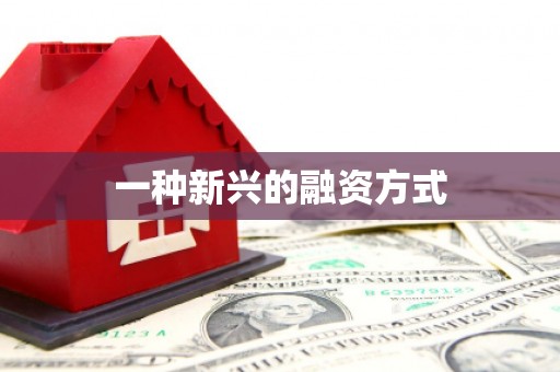 小港一种新兴的融资方式